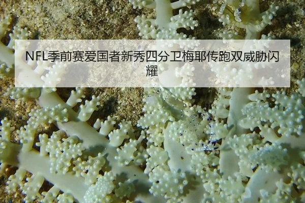 ji-qian-sai-ai-guo-zhe-xin-xiu-si-fen-wei-mei-ye-chuan-pao-shuang-wei-xie-shan-yao-3-182.jpg